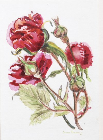 Red Rose Spray, 2001 by Joan Thewsey